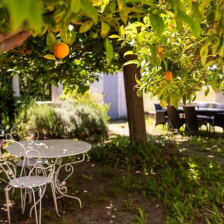 Villa Maison De Famille Avec Immense Parc Sans Vis A Vis
