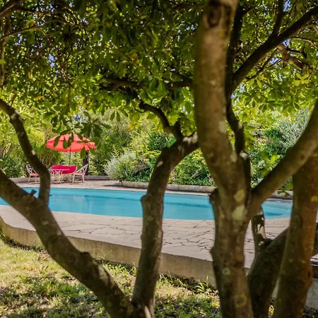 Villa Maison De Famille Avec Immense Parc Sans Vis A Vis La Garde (Var)